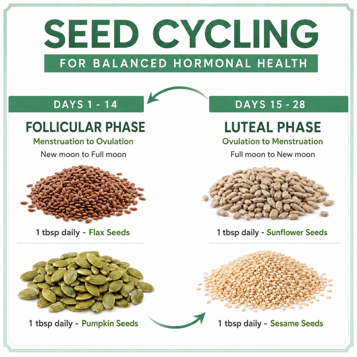 PCOS 4 Seeds Cycling Kit | 200 Grams each | Flax, Pumpkin, Sesame & Sunflower Seed
